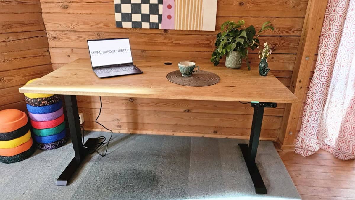 Ergotopia Desktopia Pro X  Test und persnliche Erfahrungen -  meine-bandscheibe.de
